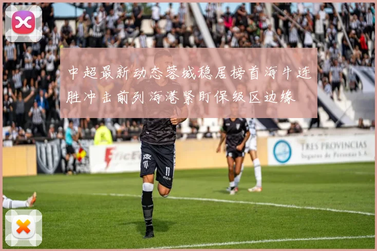 中超最新动态蓉城稳居榜首海牛连胜冲击前列海港紧盯保级区边缘
